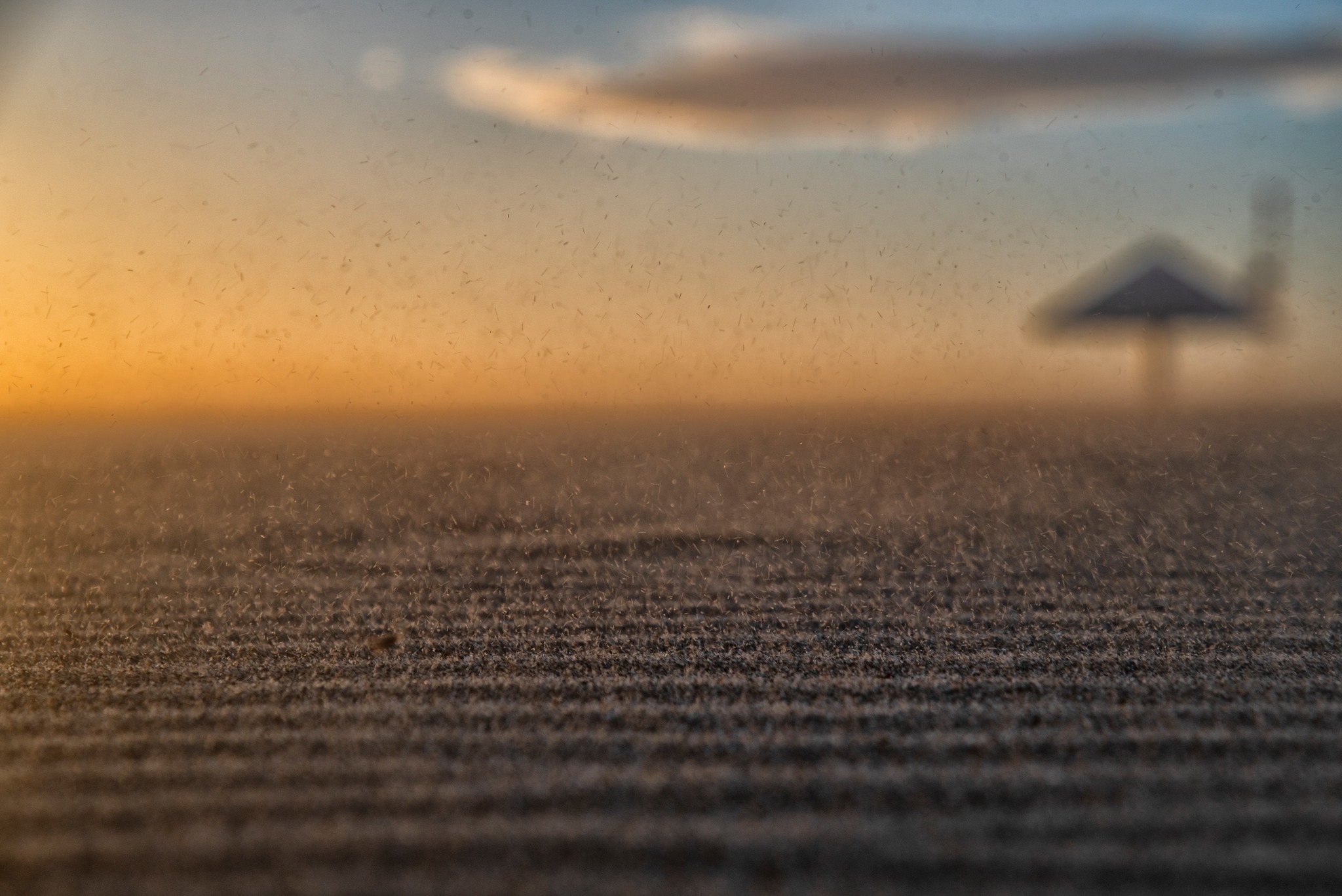 Dimmi che vento spira e saprai che mare avrai